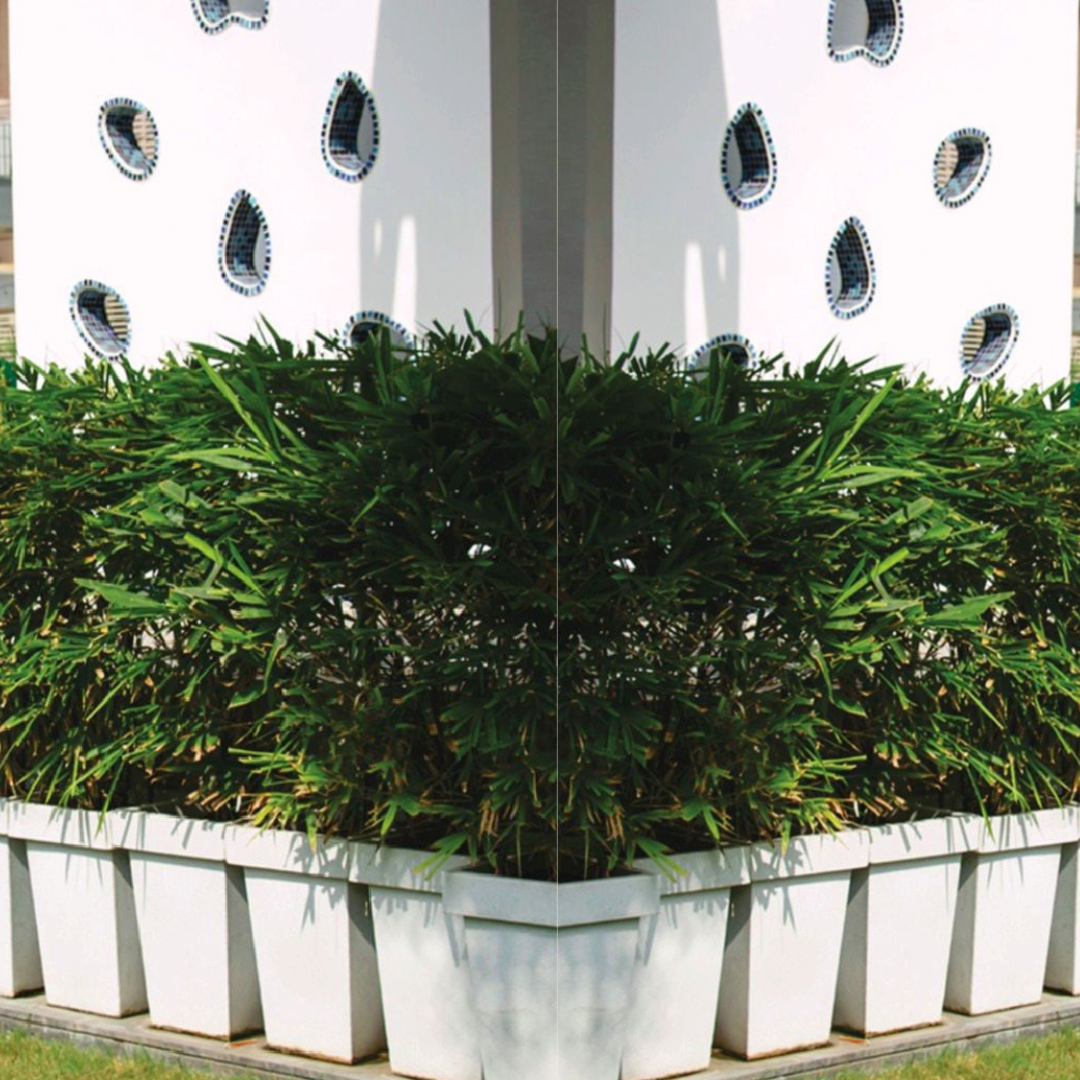 Tulip-shaped planter - size 50
