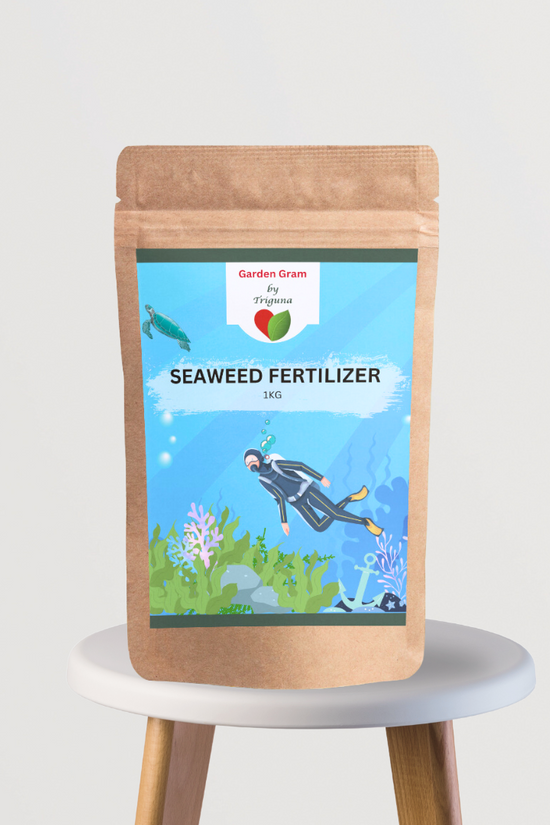 Liquid/solid seaweed plant nutrient
