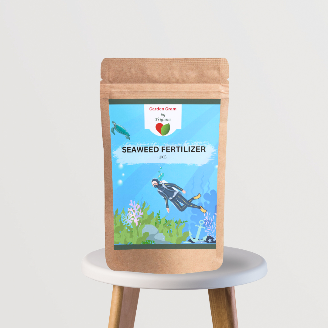 Liquid/solid seaweed plant nutrient
