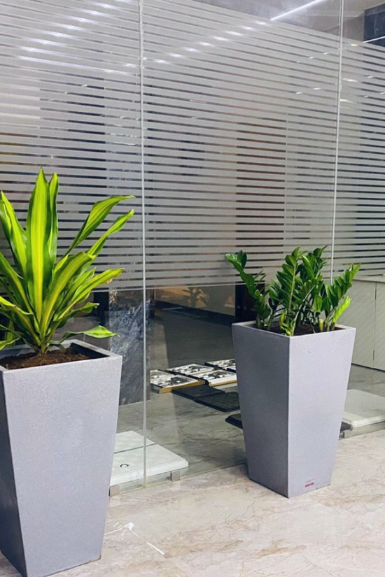 Large tulip-shaped planter
