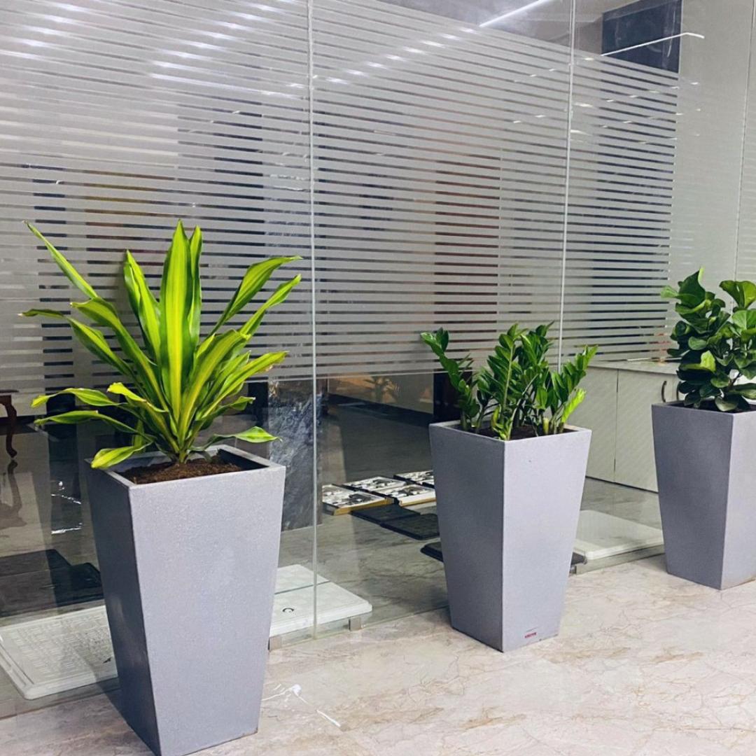 Large tulip-shaped planter
