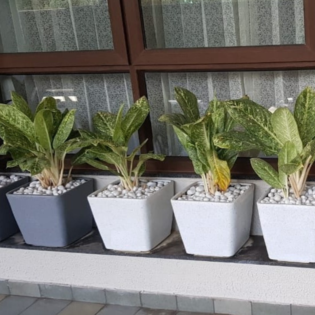 Rombus pattern plastic pot

