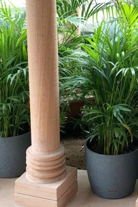 Plastic Pentas pot for indoor/outdoor use

