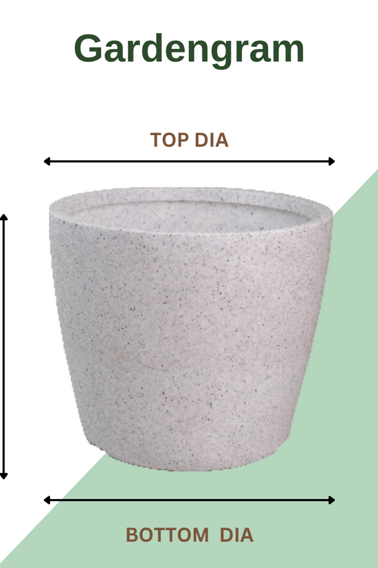 Plastic Pentas pot for indoor/outdoor use

