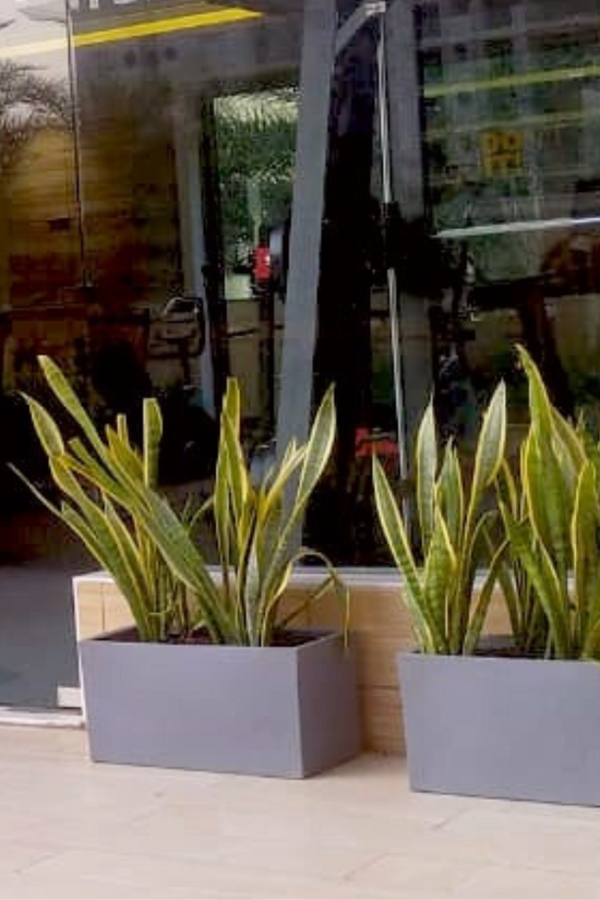 Rech Teck style plastic flower pot
