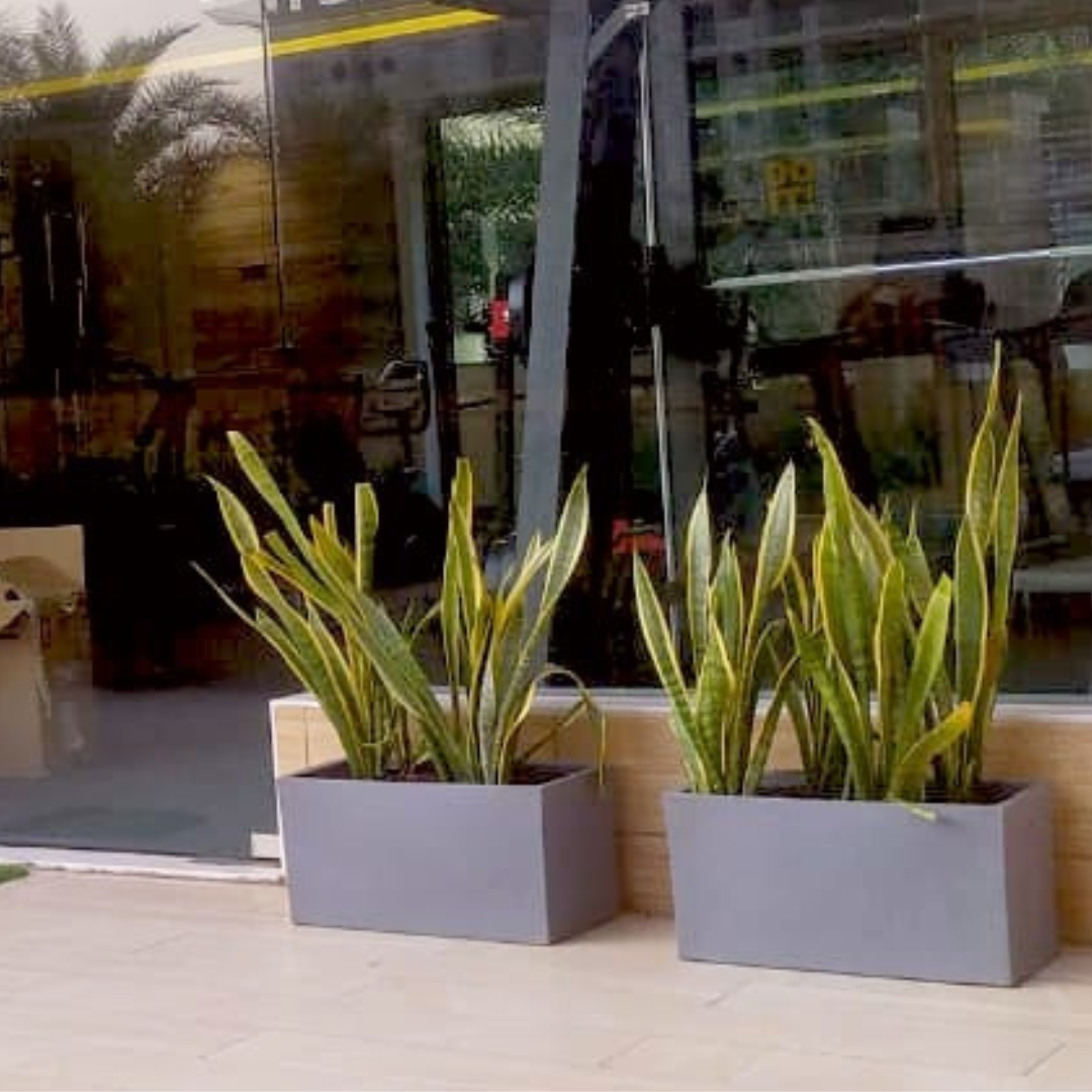 Rech Teck style plastic flower pot
