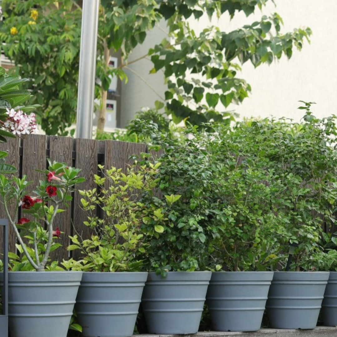 Floral design plastic flower pot
