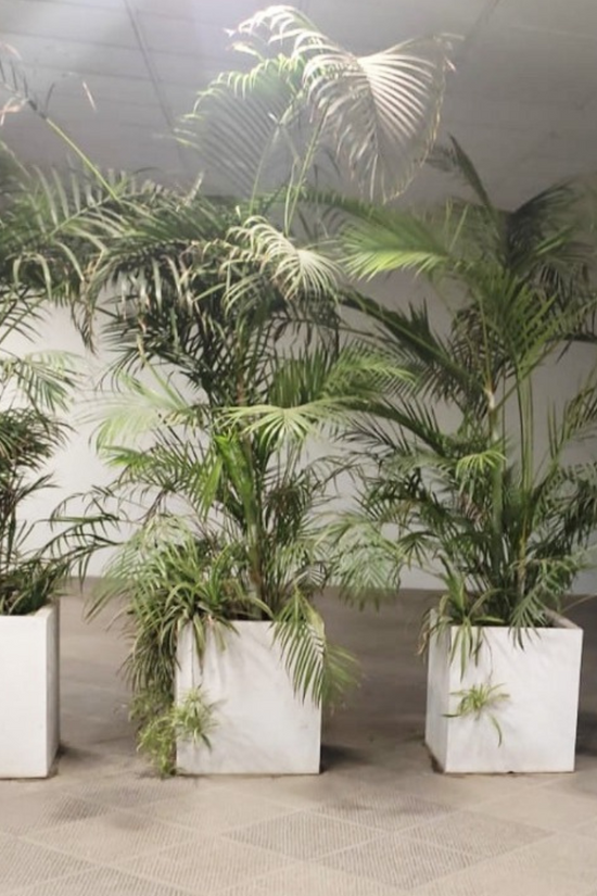 Premium Marco design plastic pot
