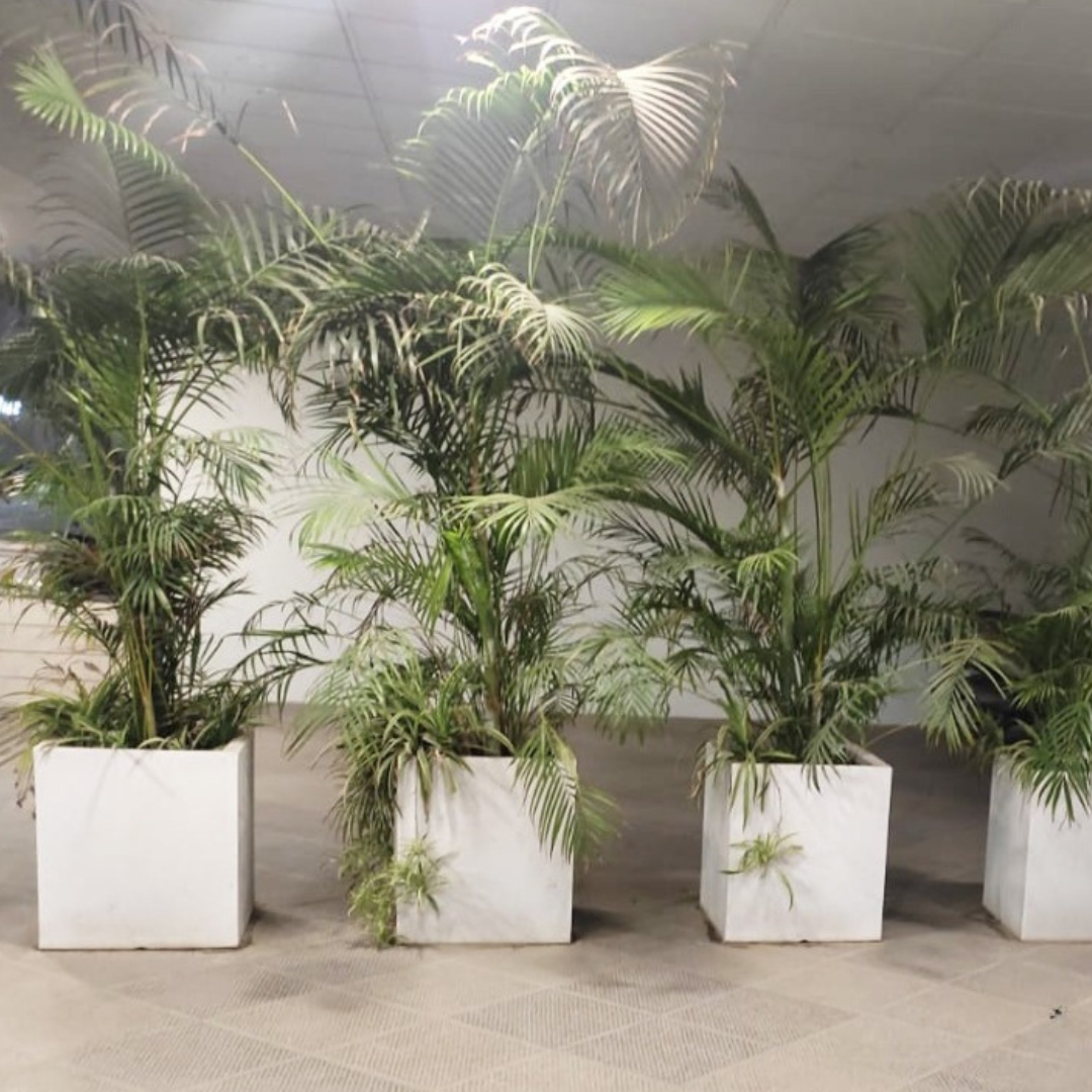 Premium Marco design plastic pot
