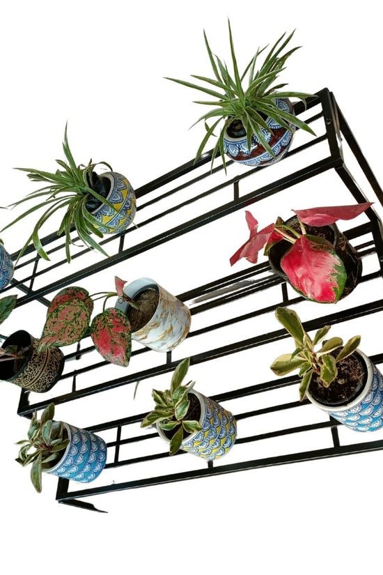 Black metal plant stand with potted plants on a white background