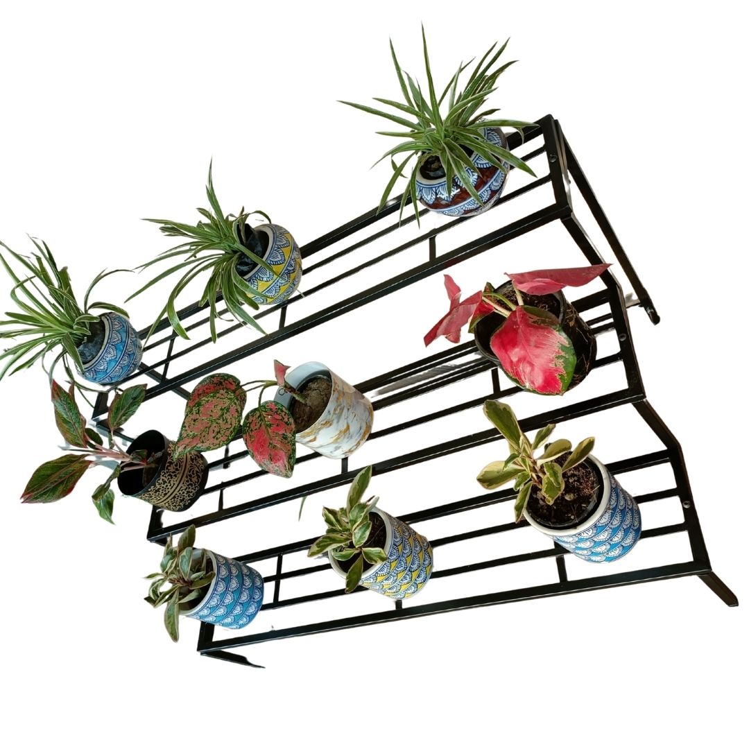 Black metal plant stand with potted plants on a white background