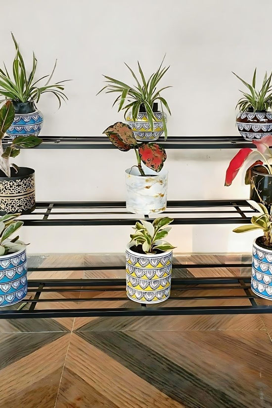 Black metal plant stand with potted plants on a wooden floor.