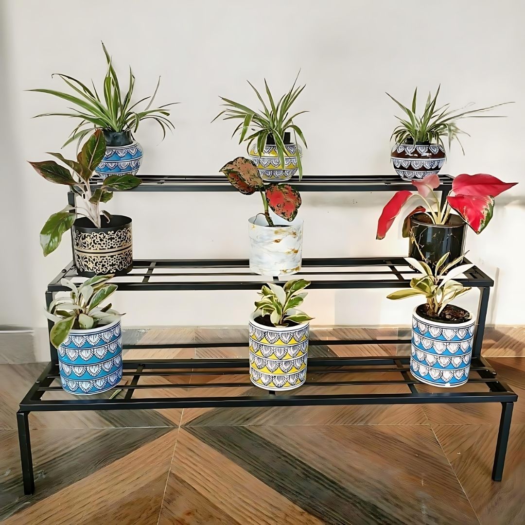 Black metal plant stand with potted plants on a wooden floor.