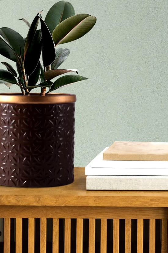 Brown and gold ceramic planter pot

