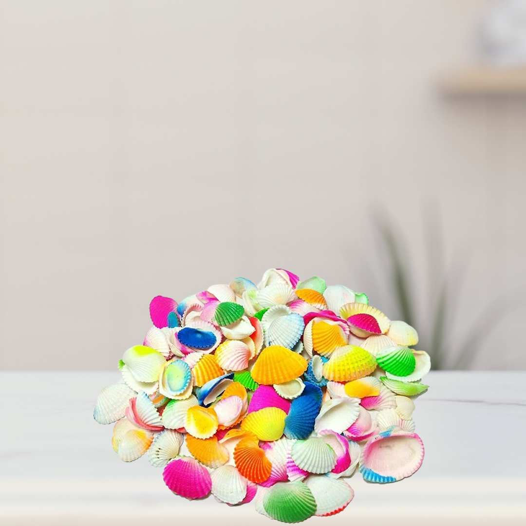 Mixed sea shells for home or plant decor

