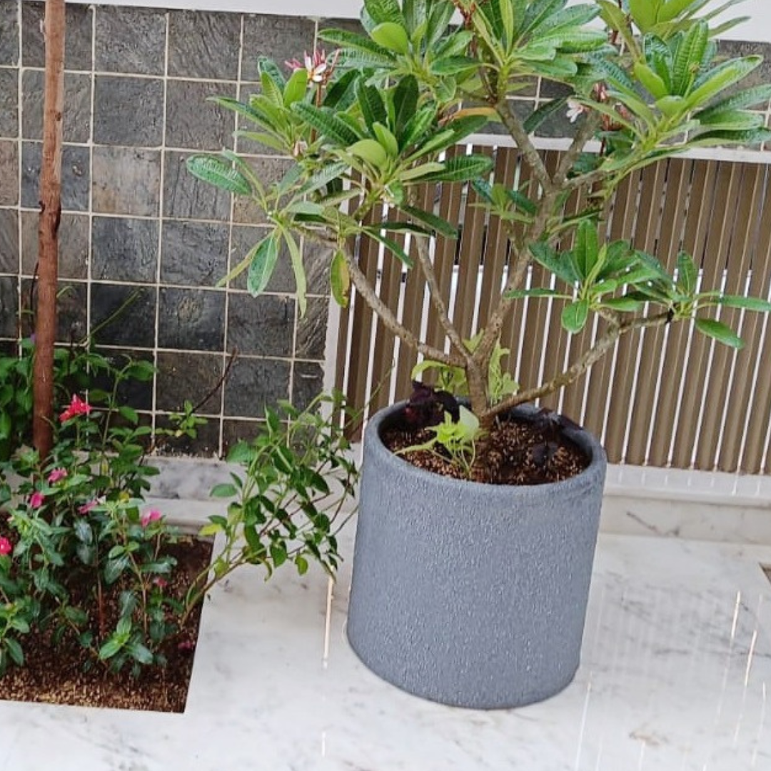 Bambus pattern planter - premium plastic
