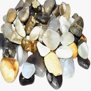 Decorative pebbles 1 kg | Pebbles for plants | Pebbles for home decor - Gardengram
