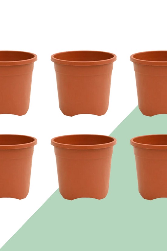 Multi-use plastic gardening pot
