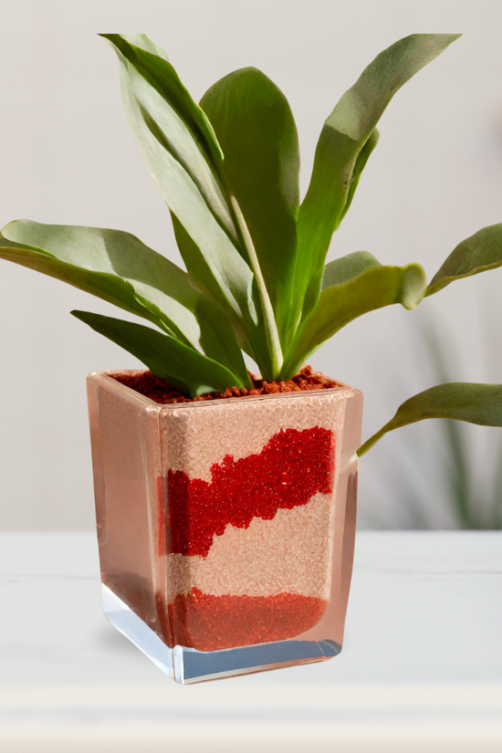 Mixed colored decorative garden sand
