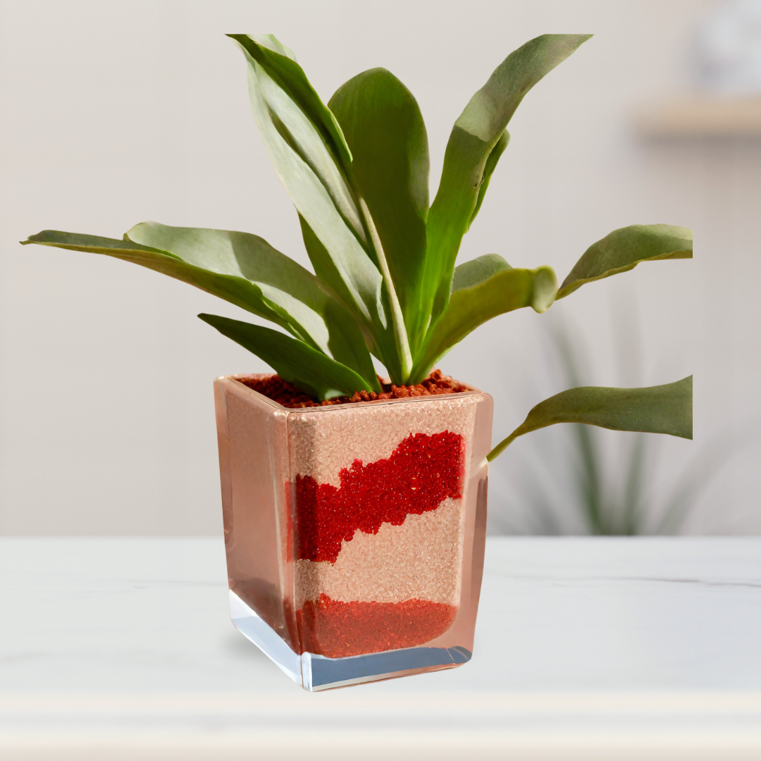 Mixed colored decorative garden sand
