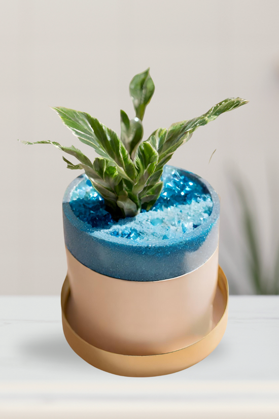 Mixed colored decorative garden sand
