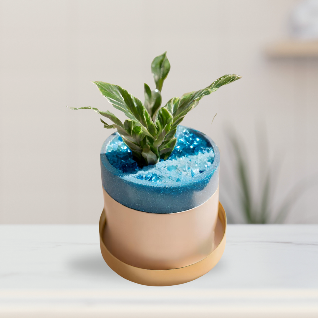 Mixed colored decorative garden sand
