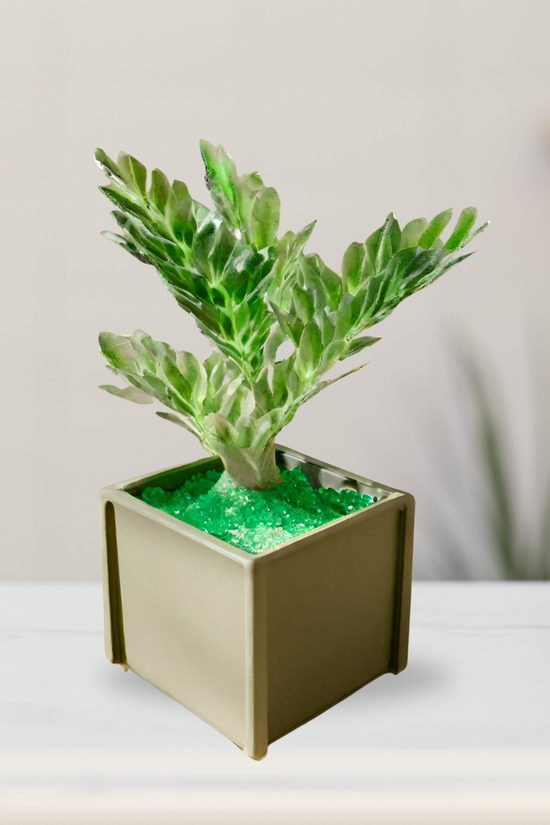 Mixed colored decorative garden sand
