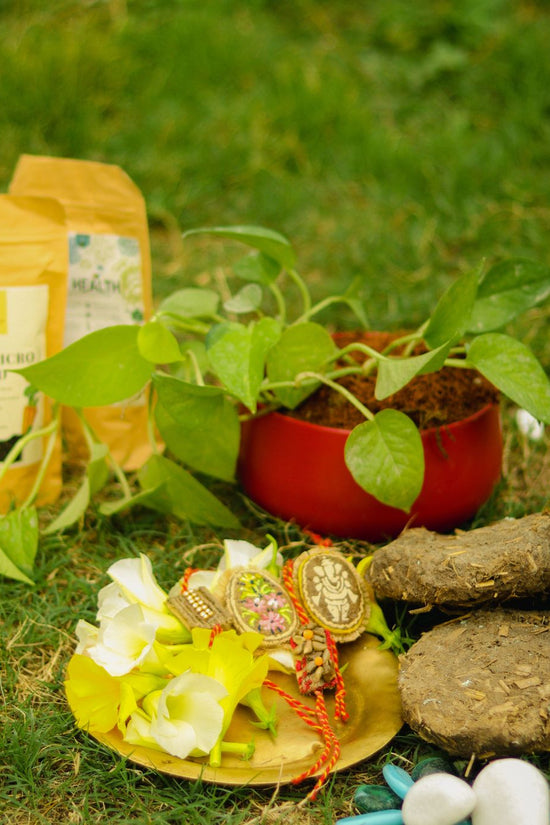 Rakhi combo gift for brother and sister-in-law
