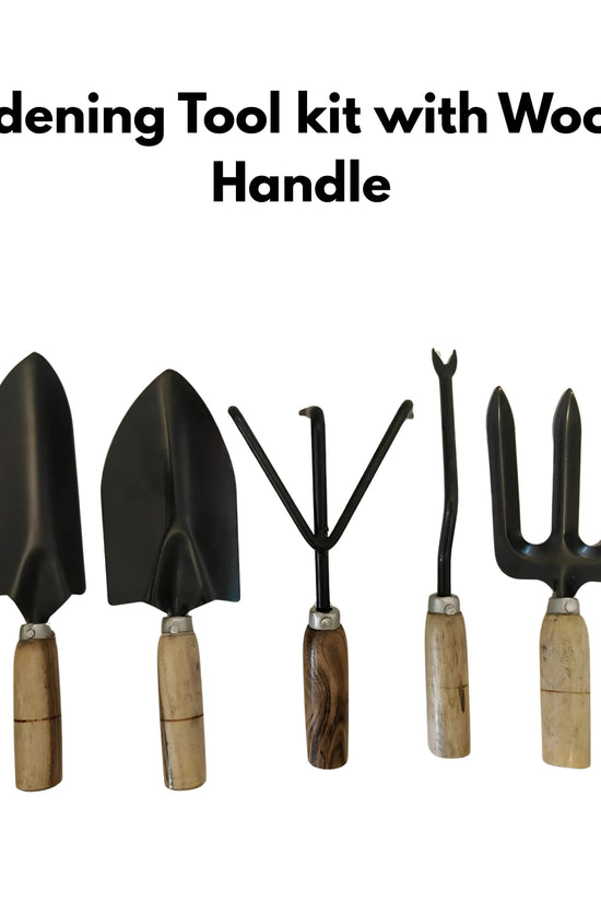 Gardening combo kit with tools and soil