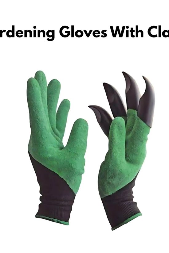 Gardening combo kit with tools and soil