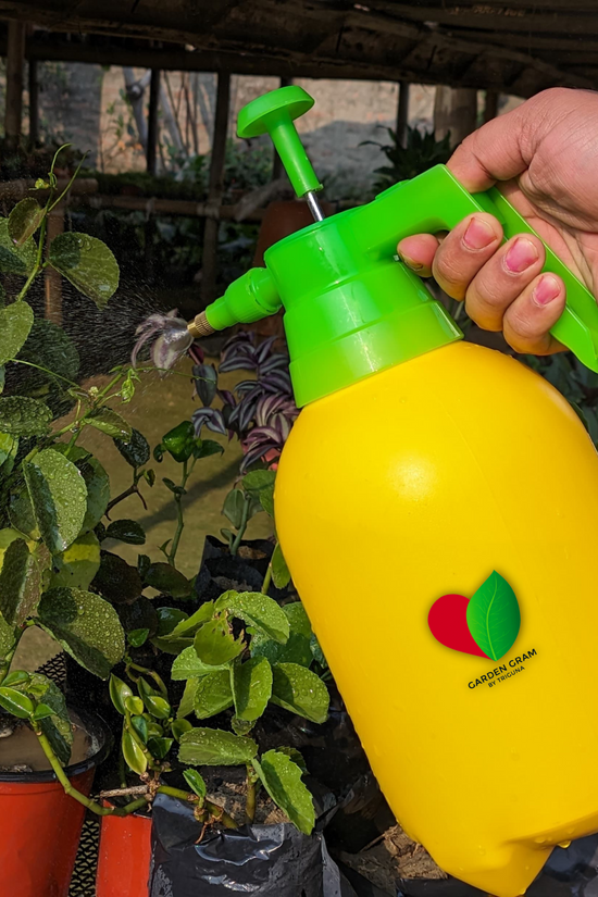 1.5-liter pressure sprayer pump
