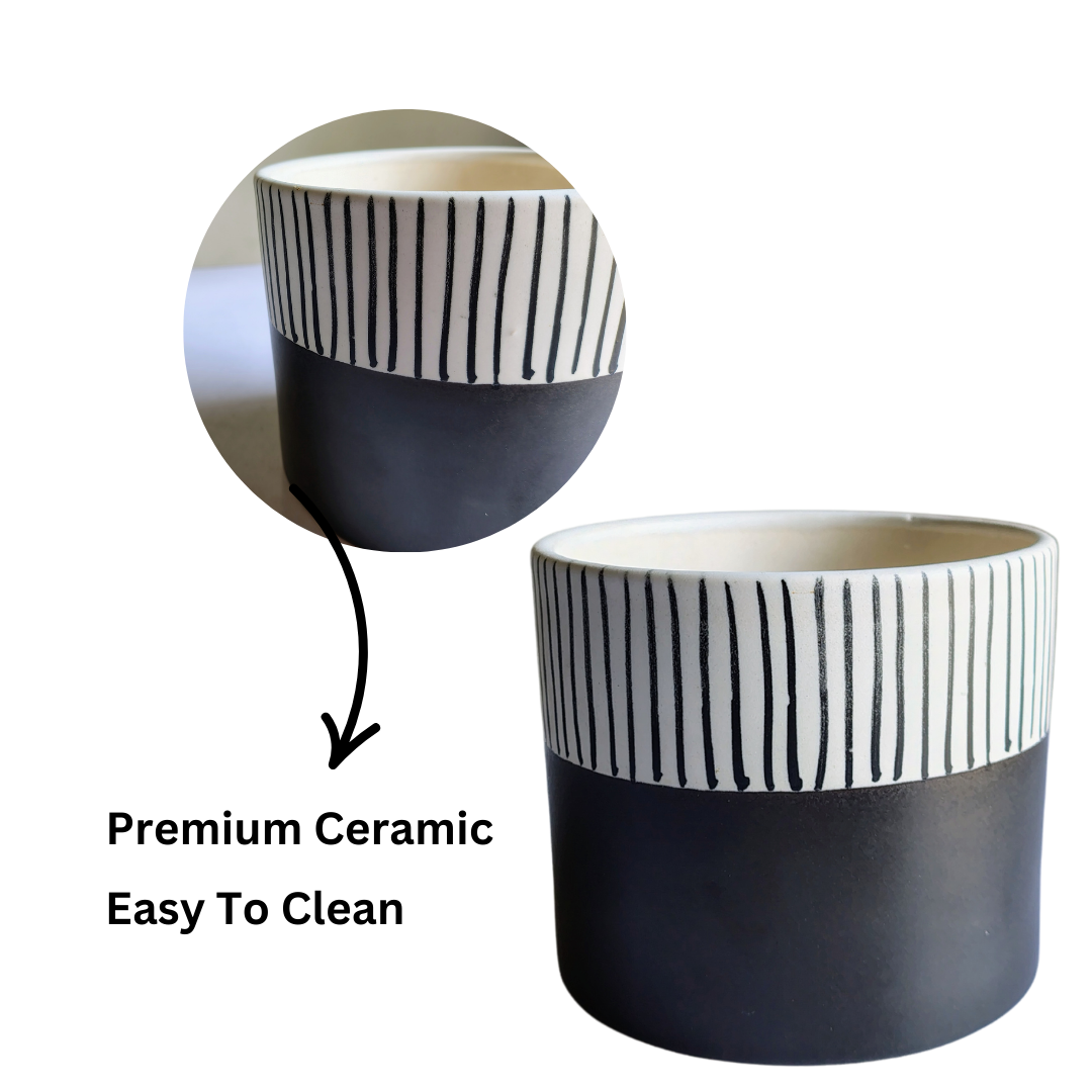 Black modern ceramic pot for indoor plants