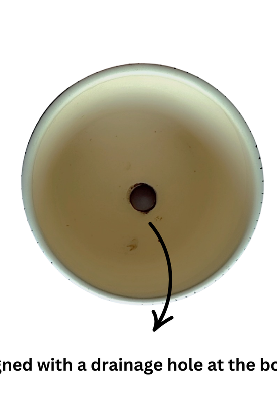 Black modern ceramic pot for indoor plants