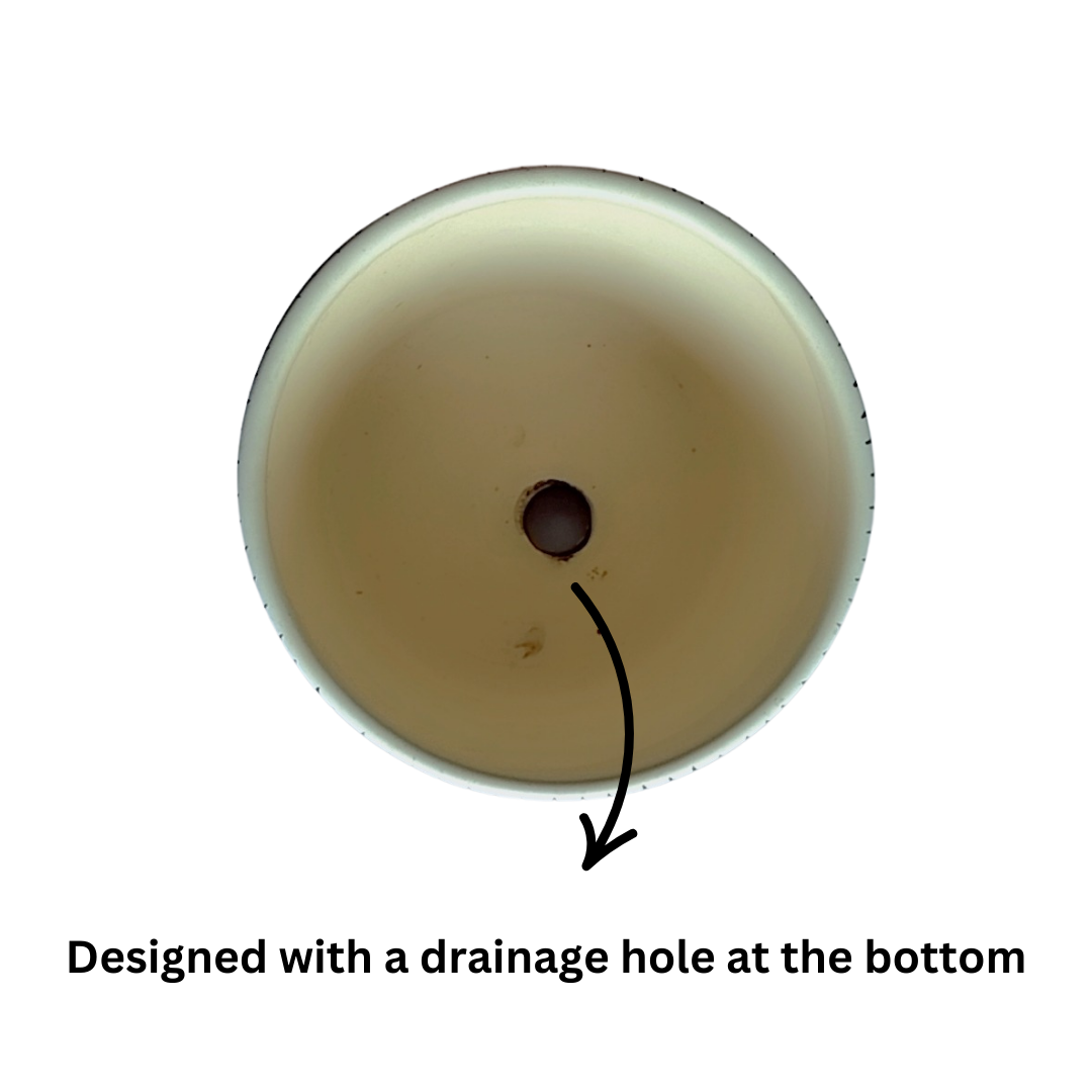 Black modern ceramic pot for indoor plants