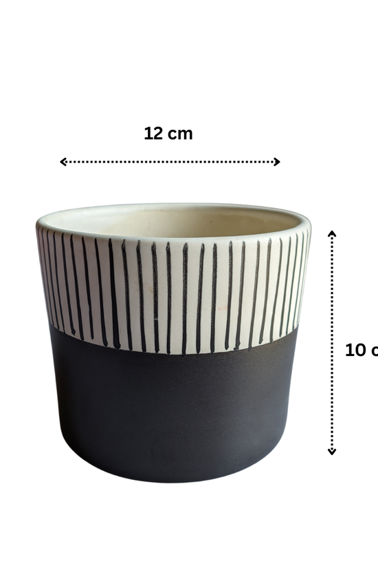 Black modern ceramic pot for indoor plants