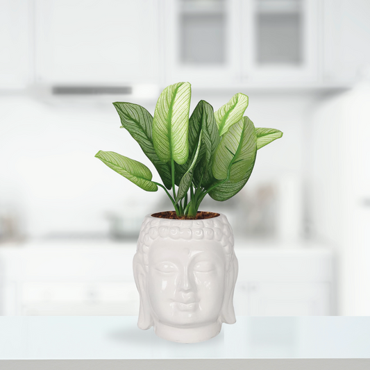 White Buddha ceramic pot for home decor
