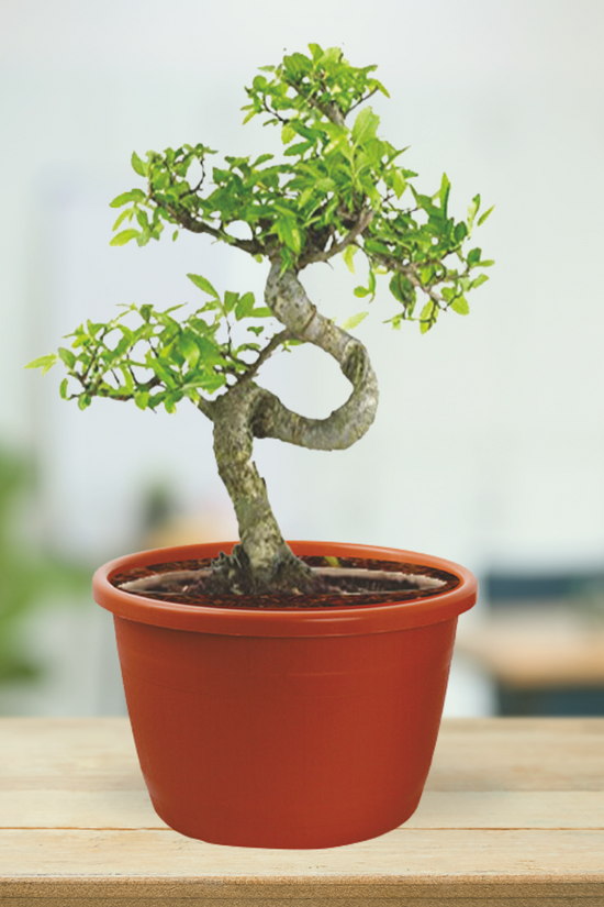 Garden barrel design plastic pot
