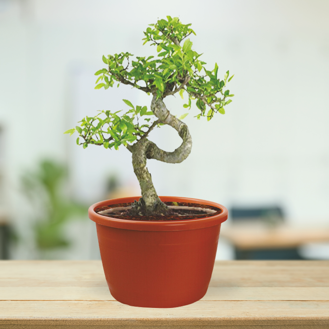 Garden barrel design plastic pot
