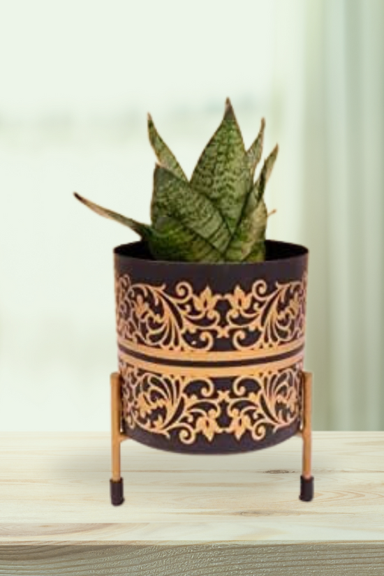 Black & gold motif ceramic planter

