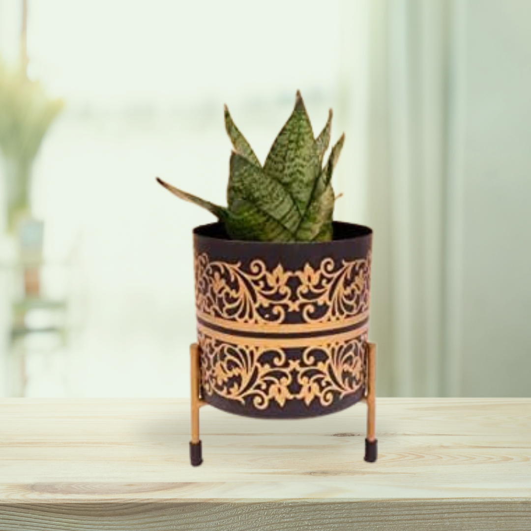 Black With Golden Motif Pot With Stand - Gardengram 