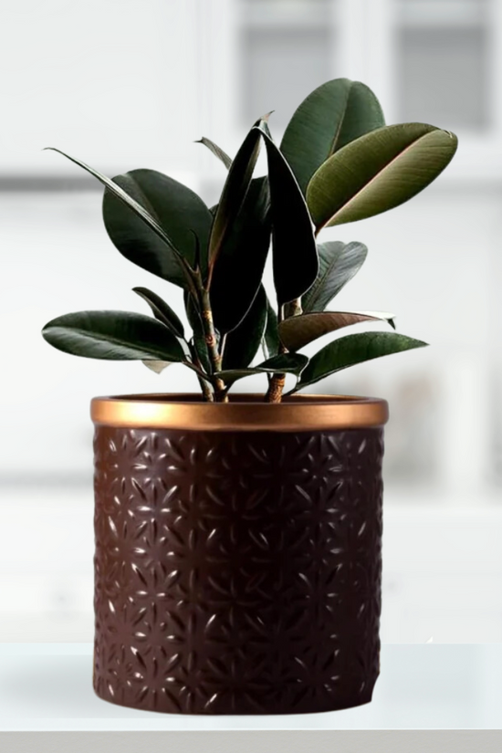 Brown and gold ceramic planter pot
