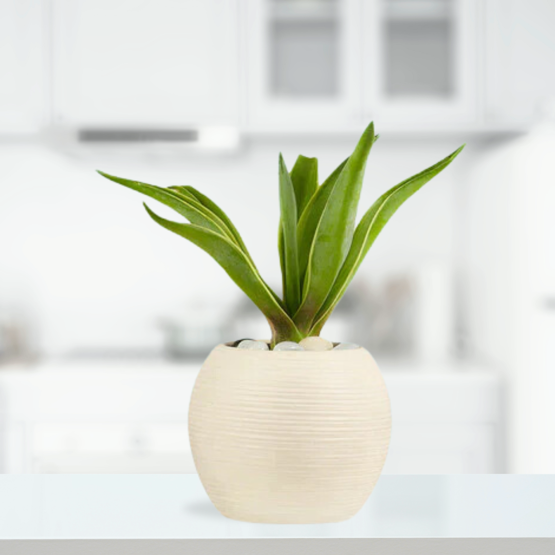 Globe off-white spiral ceramic pot

