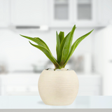 Ceramic Off White Planter | Spiral Rings Design | 13cm H - Gardengram