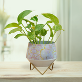 ChicMetal Round Pot with Stand By Gardengram