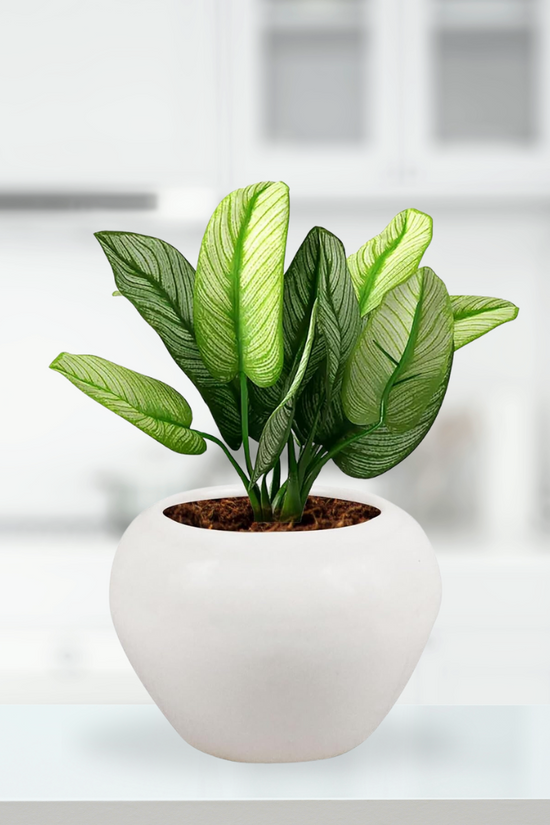 White apple-style ceramic planter