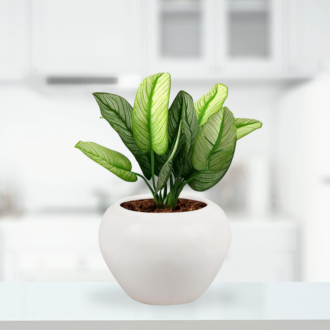 White apple-style ceramic planter