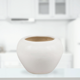 Cloud Apple Small White Ceramic Pot -  Gardengram