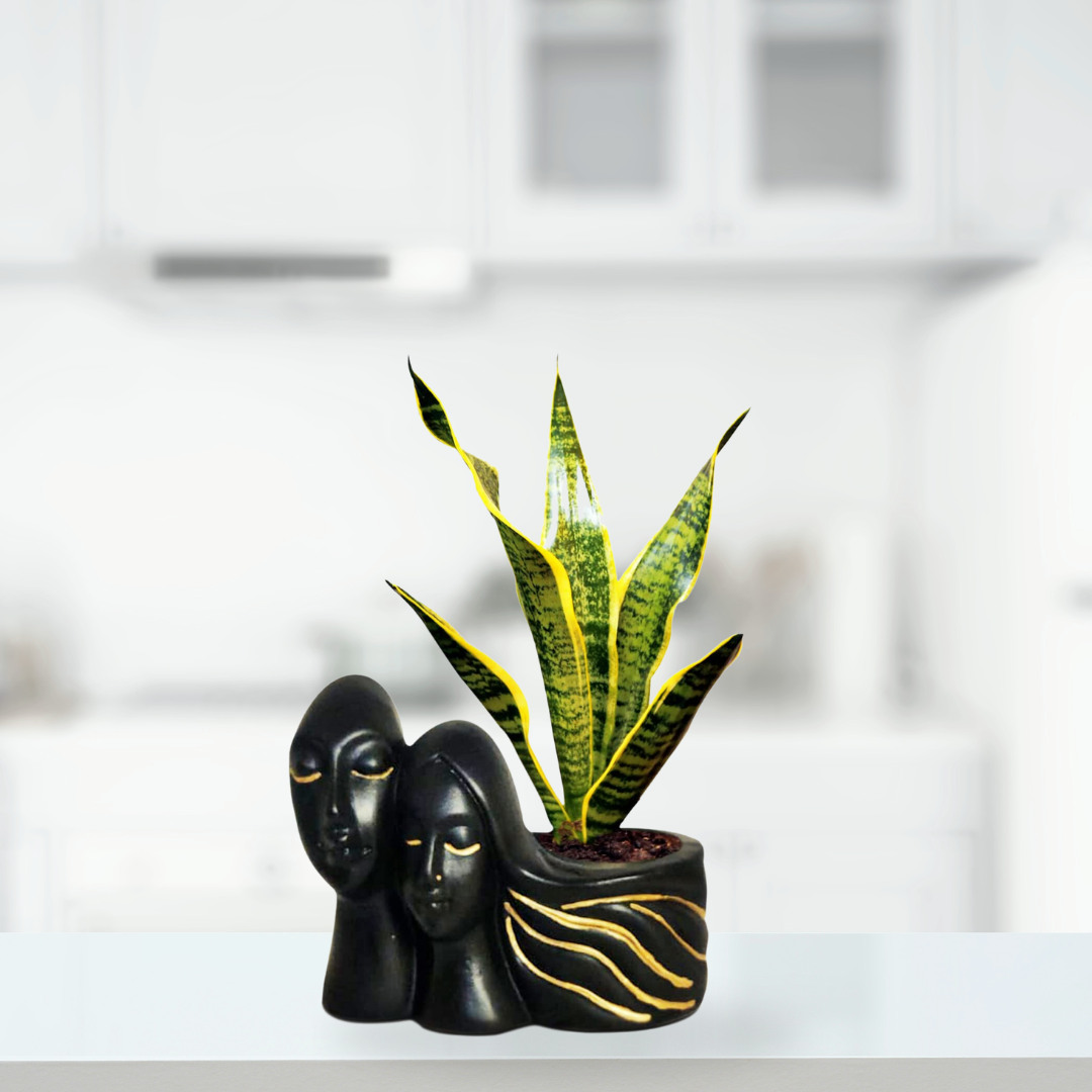 Couple-shaped planter in black and gold
