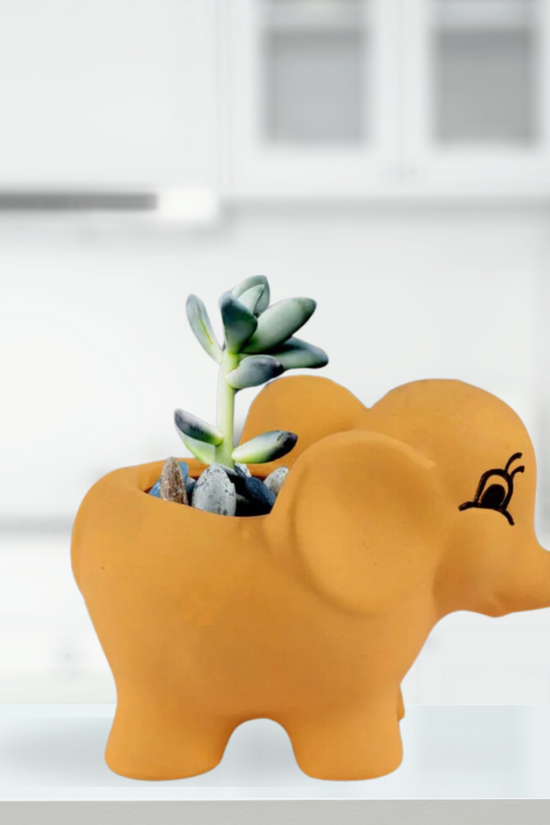 Elephant shaped ceramic pot
