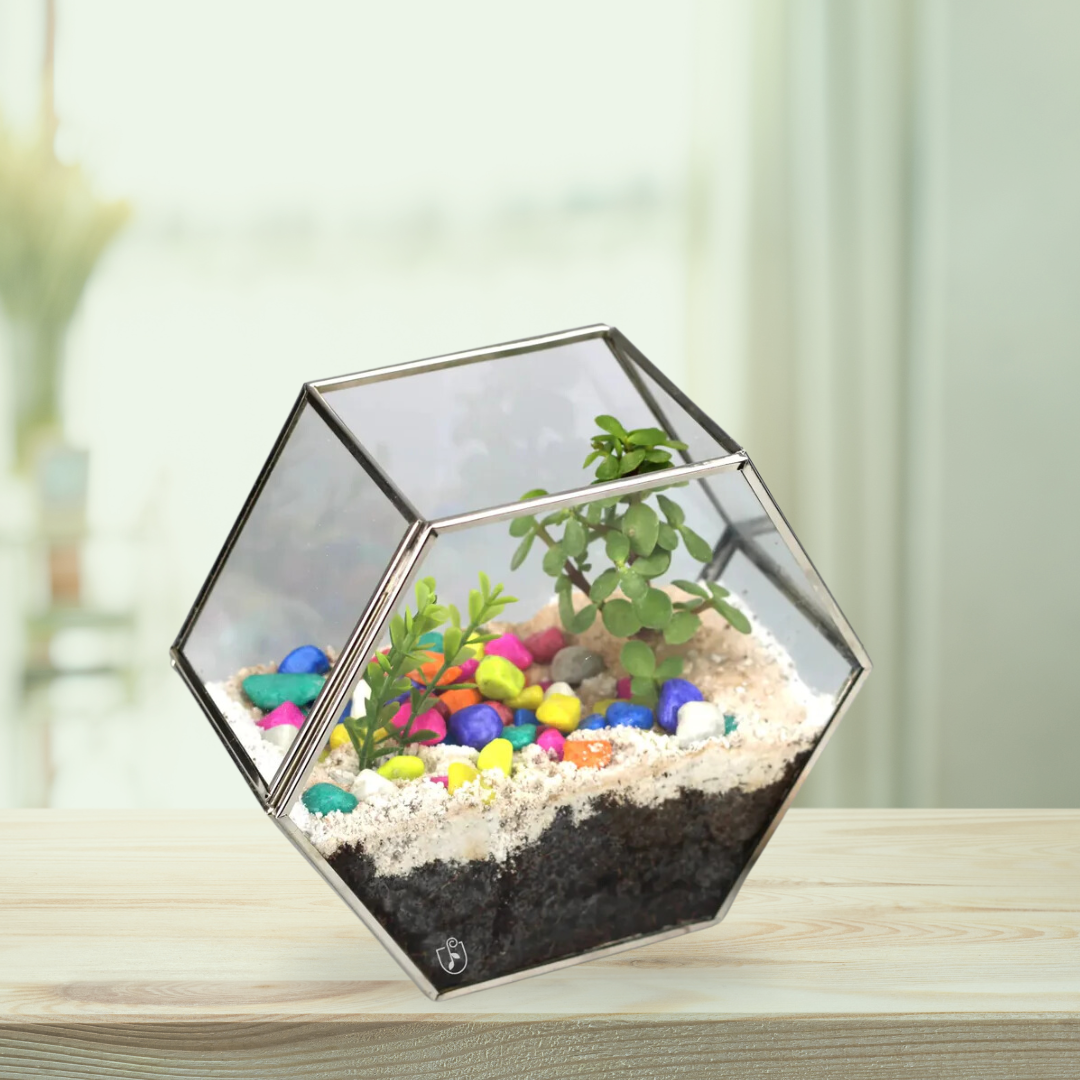 Decorative hexagon glass plant holder
